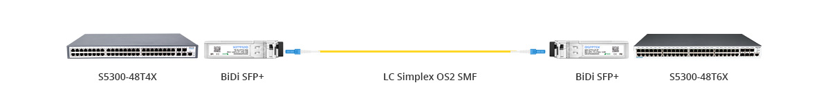 Scenario 1: 10G BIDI Connectivity