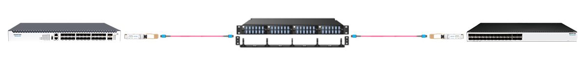 MTP-12 Female to MTP-12 Female OM4 Trunk Cable 2