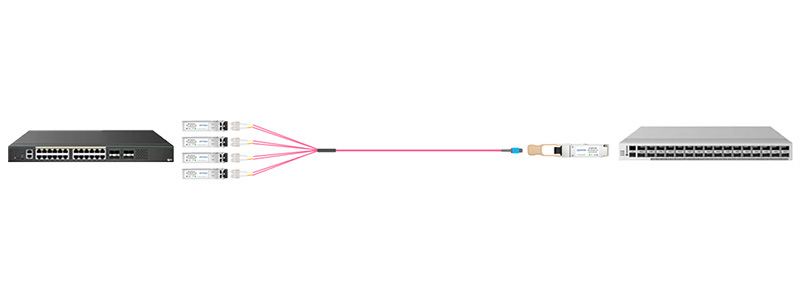 QSFP28 to SFP28 Connection with MTP Breakout Cable