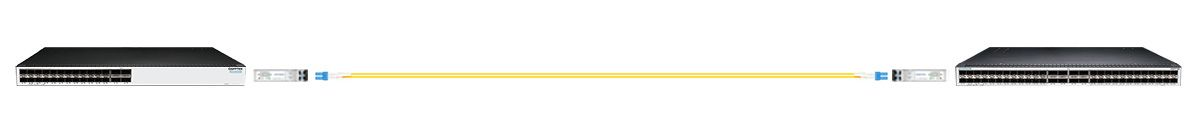 Connection 1: 25GBASE-LR Connectivity