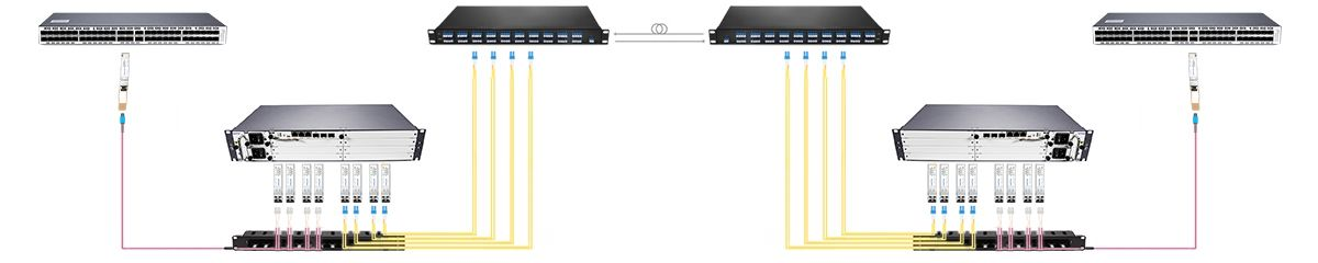 Connection 2 10G DWDM Connectivity With DWDM Mux Demux