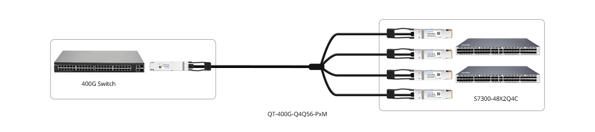 QT-400G-Q4Q56-PxM Connectivity