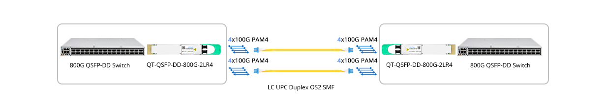 Scenario 1: 800G to 800G Direct Connectivity