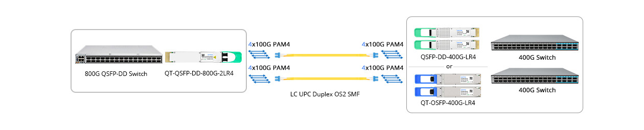 Scenario 2: 800G to 2x 400GE Breakout Connectivity