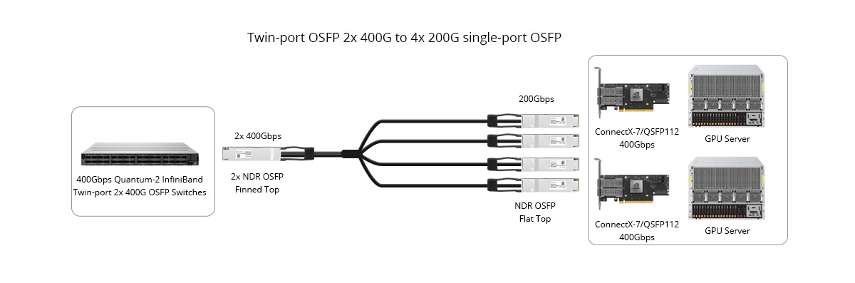 800G to 4x 200G breakout connectivity