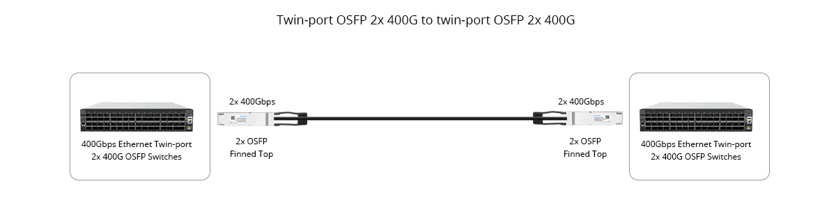 Twin-port OSFP 2x400G to twin-port OSFP 2x 400G