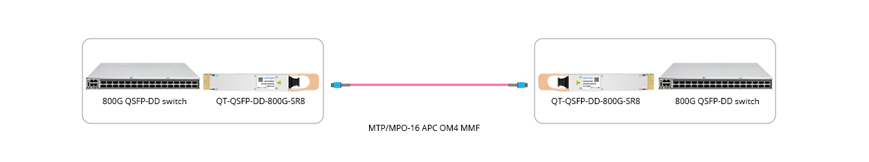 Scenario 1: 800G to 800G Direct Connectivity