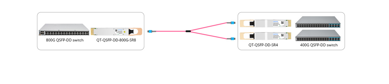 Scenario 2: 800G to 2x 400GE Breakout Connectivity