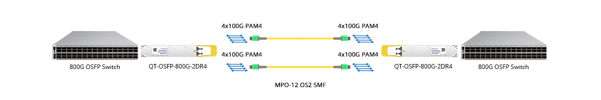Scenario 1: 800G to 800G Direct Connectivity