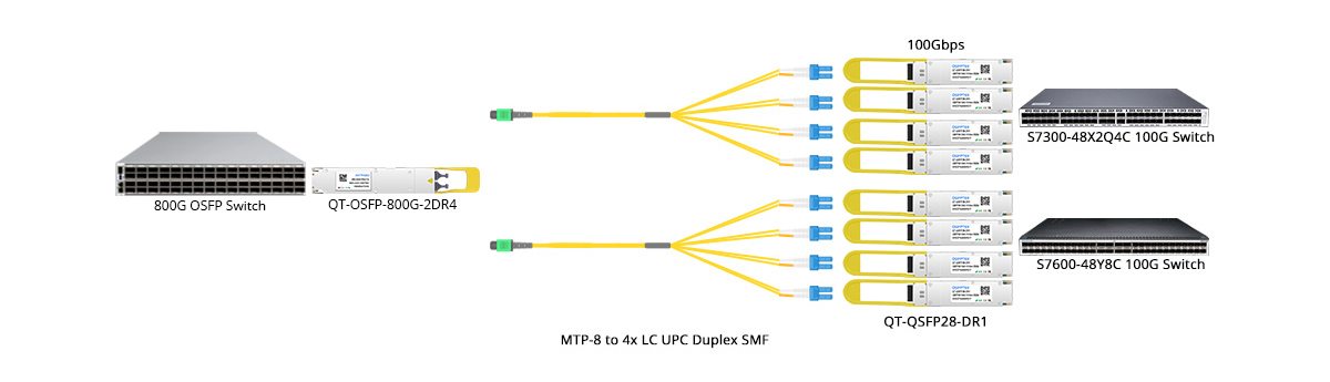 Scenario 3: 800G to 8x 100GE Breakout Connectivity
