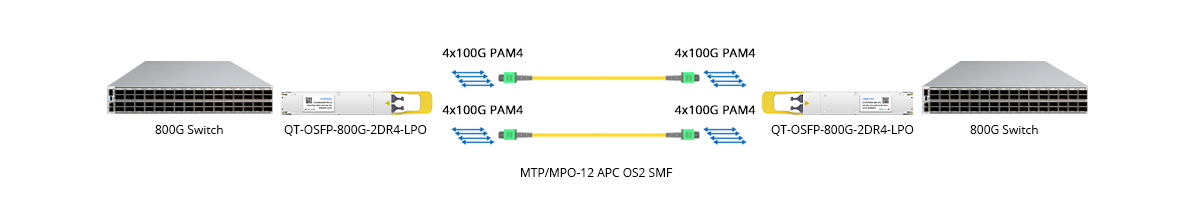 Scenario 1: 800G to 800G Direct Connectivity