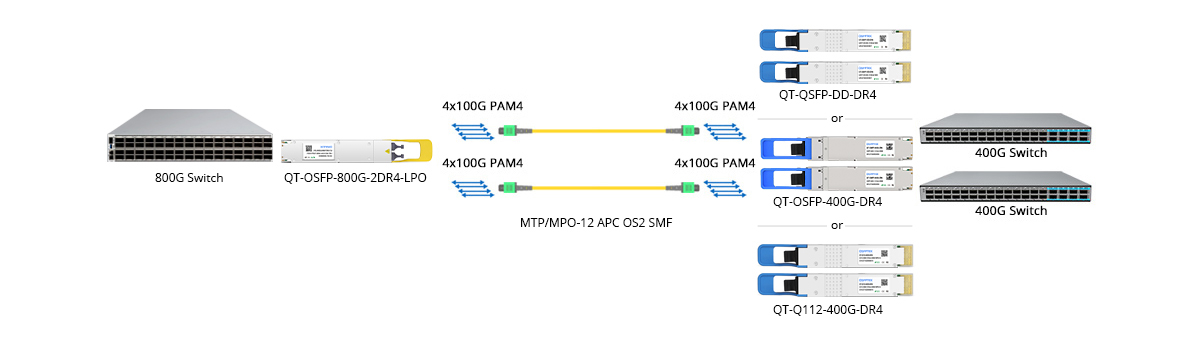 Scenario 2: 800G to 2x 400GE Breakout Connectivity
