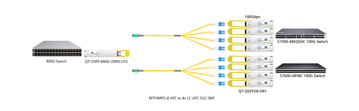 Scenario 3: 800G to 8x 100GE Breakout Connectivity