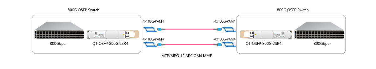 Scenario 1: 800G to 800G Direct Connectivity