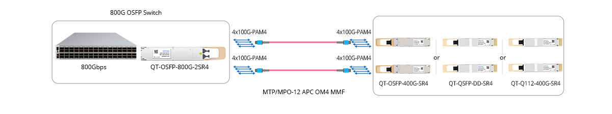 Scenario 2: 800G to 2x 400GE Breakout Connectivity