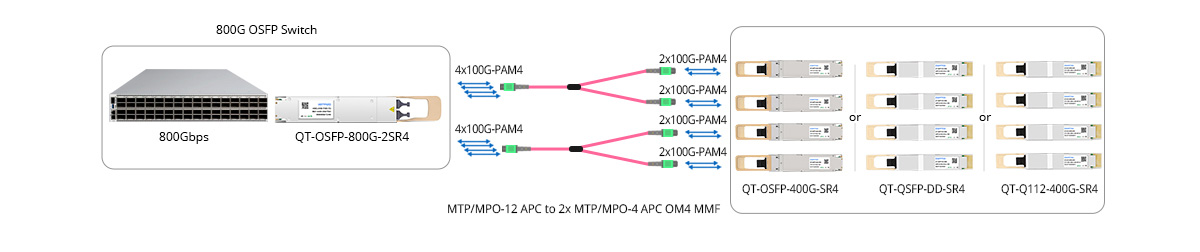 Scenario 3: 800G to 200GE Breakout Connectivity