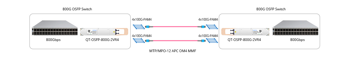 Scenario 1: 800G to 800G Direct Connectivity