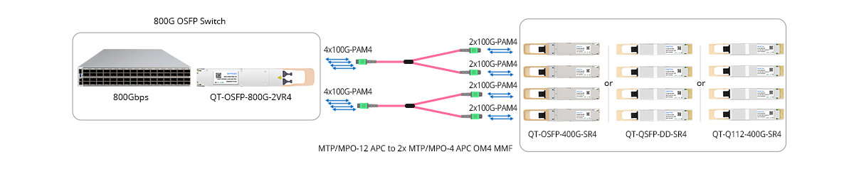 Scenario 3: 800G to 200GE Breakout Connectivity