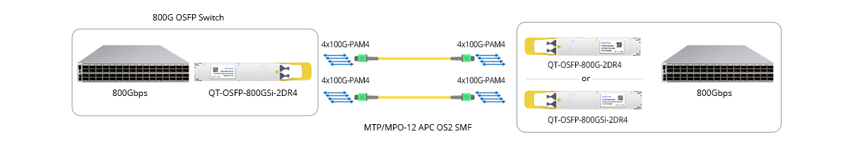 Scenario 1: 800G to 800G Direct Connectivity