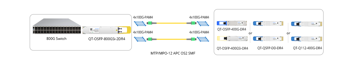 Scenario 2: 800G to 2x 400GE Breakout Connectivity
