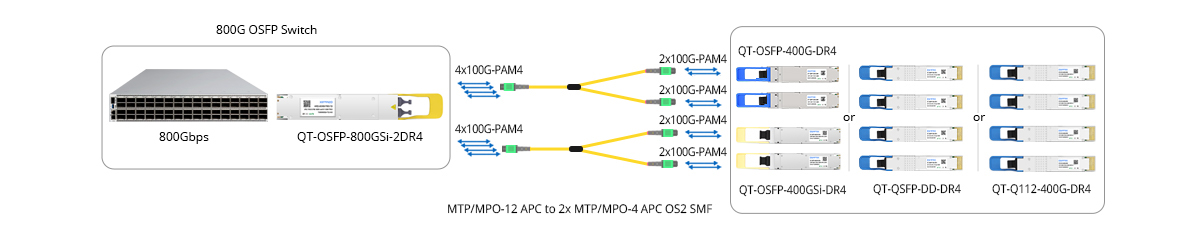 Scenario 3: 800G to 200GE Breakout Connectivity