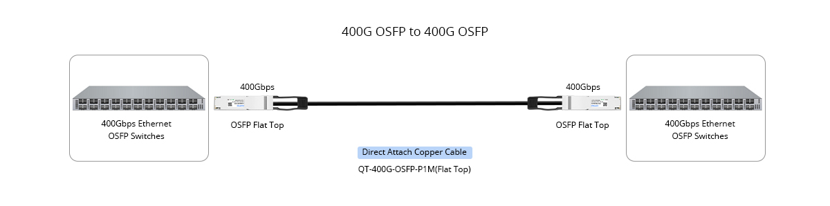400G Direct Connectivity