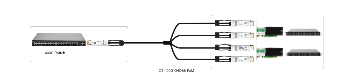 QT-400G-O4Q56-PxM 400G to 100G NICs connectivity