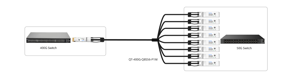 QT-400G-Q8S56-PxM 400G to 50G Direct Connectivity