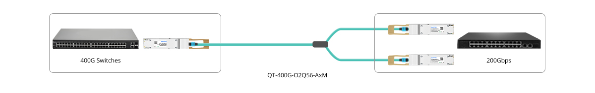 400G to 200G Direct Connectivity