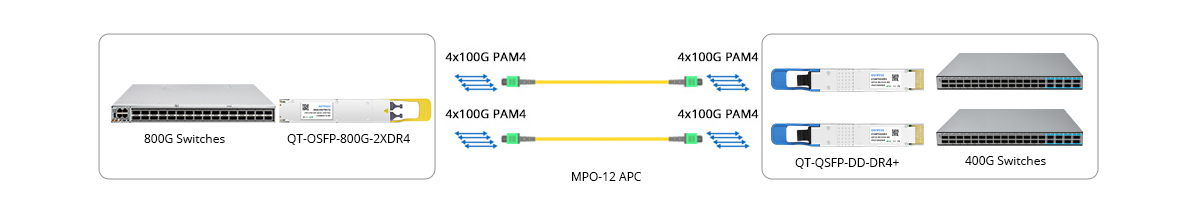 800G OSFP 2XDR4 Breakout Connectivity