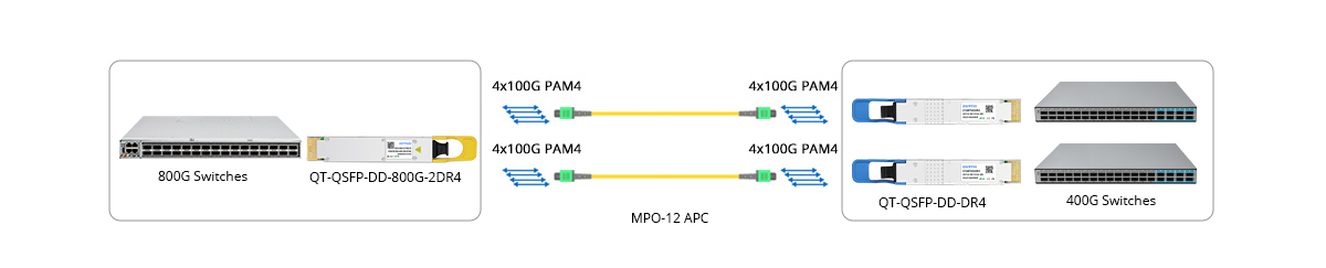 800G QSFP-DD 2DR4 Breakout Connectivity