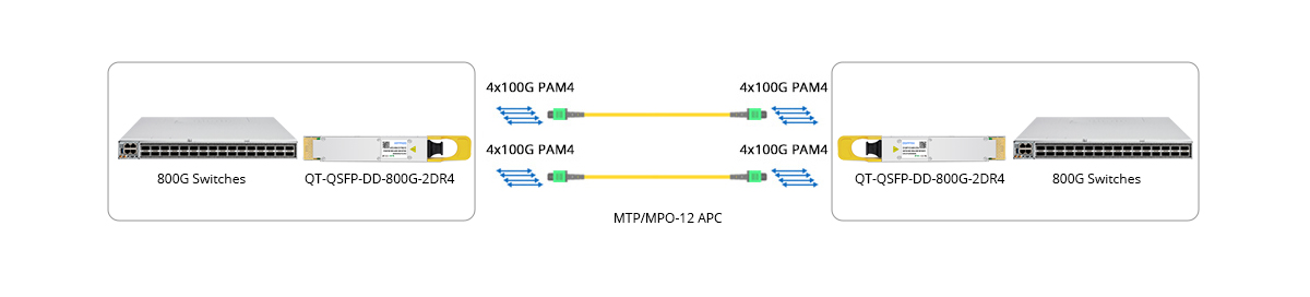 800G QSFP-DD 2DR4 Direct Connectivity