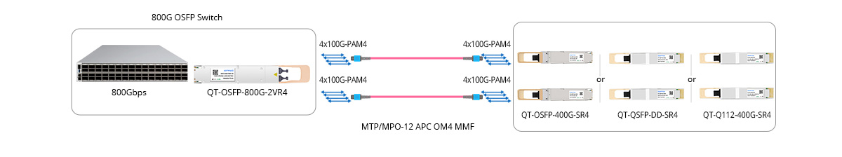 800G to 2x 400GE Breakout Connectivity