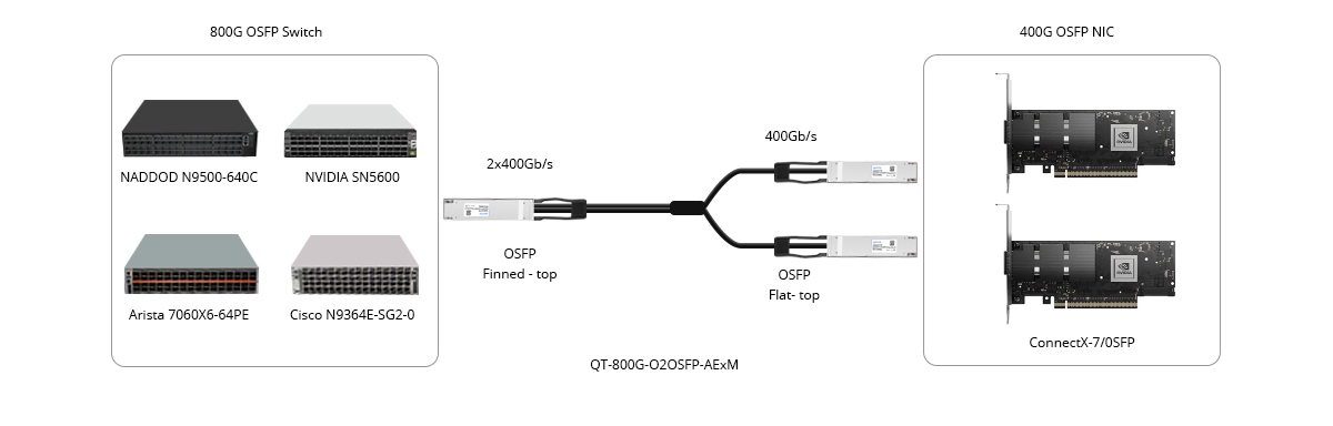 800G to 2x 400G Breakout Connectivity