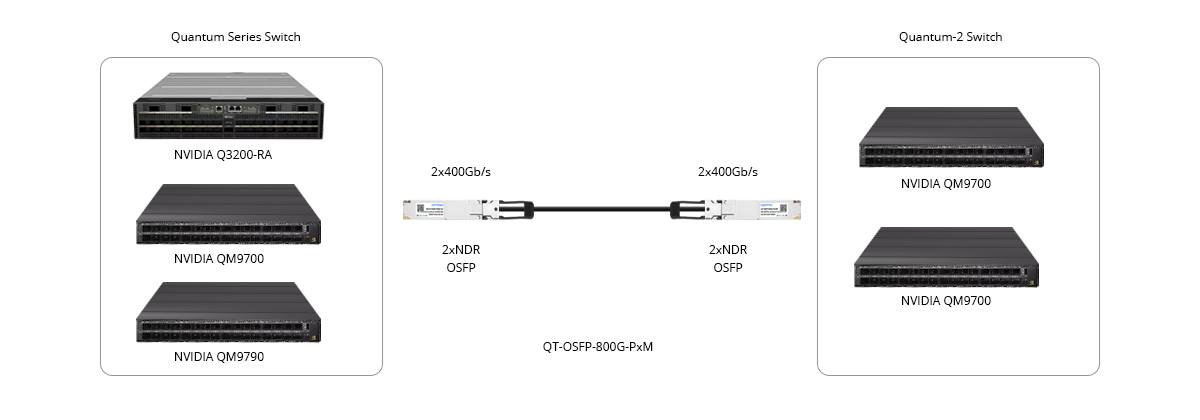 1.6T XDR/800G NDR Switch to 800G NDR Switch Connectivity