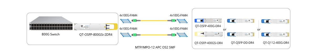 800G to 2x 400GE Breakout Connectivity