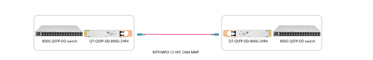 Scenario 1: 800G to 800G Direct Connectivity