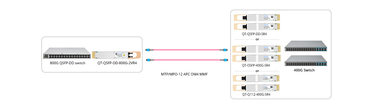 Scenario 2: 800G to 2x 400GE Breakout Connectivity