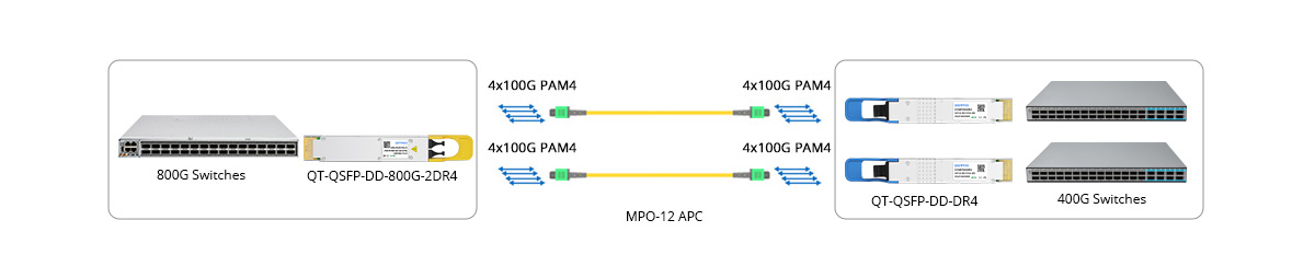 800G QSFP-DD 2DR4 Breakout Connectivity