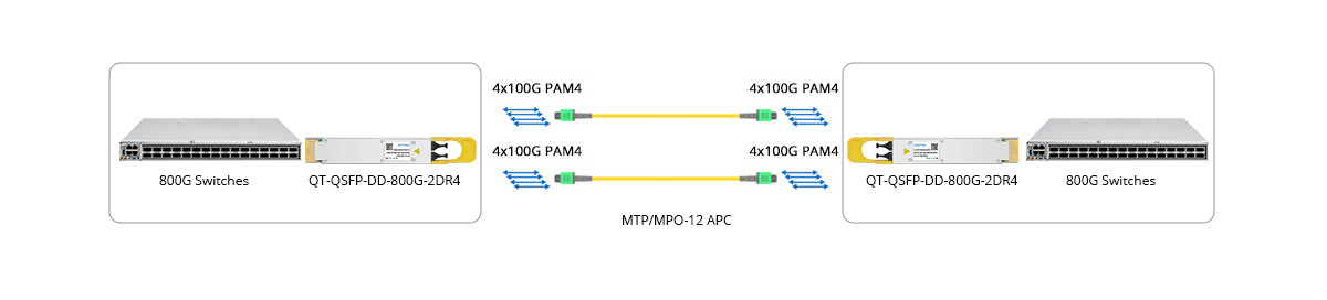 800G QSFP-DD 2DR4 Direct Connectivity