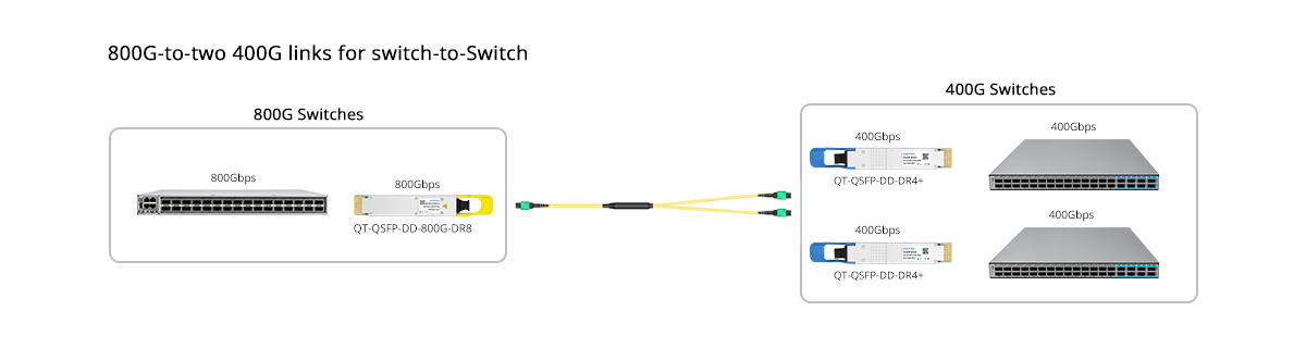 QT-QSFP-DD-800G-DR8 Scenario 2 800G to 2x 400GE Breakout Connectivity