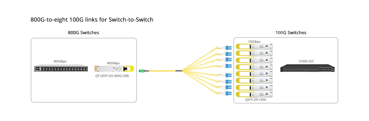 QT-QSFP-DD-800G-DR8 Scenario 3 800G to 8x 100GE Breakout Connectivity