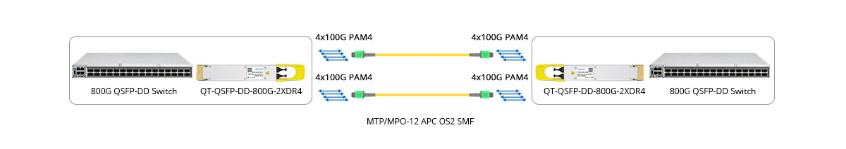 Scenario 1: 800G to 800G Direct Connectivity