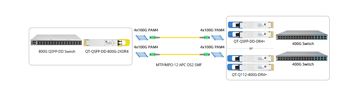 Scenario 2: 800G to 2x 400GE Breakout Connectivity