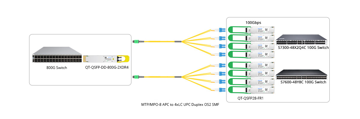Scenario 3: 800G to 8x 100GE Breakout Connectivity