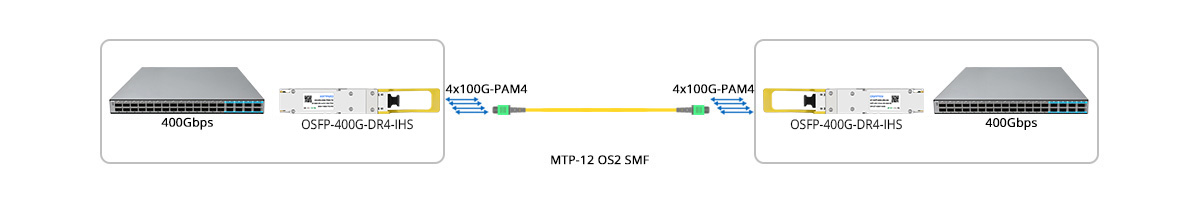 400G to 400G Direct Connectivity
