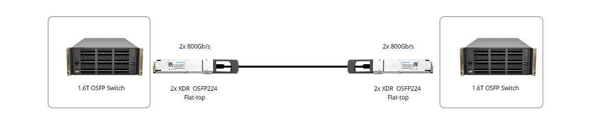 Scenario 1: 1.6T XDR Switch to 1.6T XDR Switch Direct Connectivity