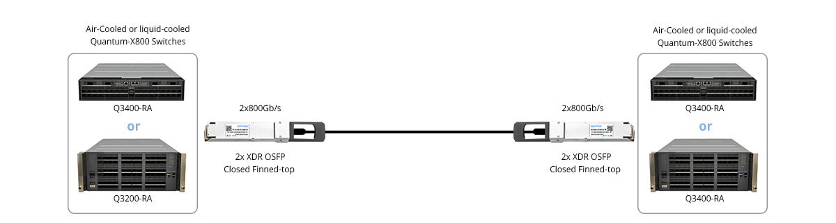1.6T Switch to 1.6T Switch Direct Connectivity