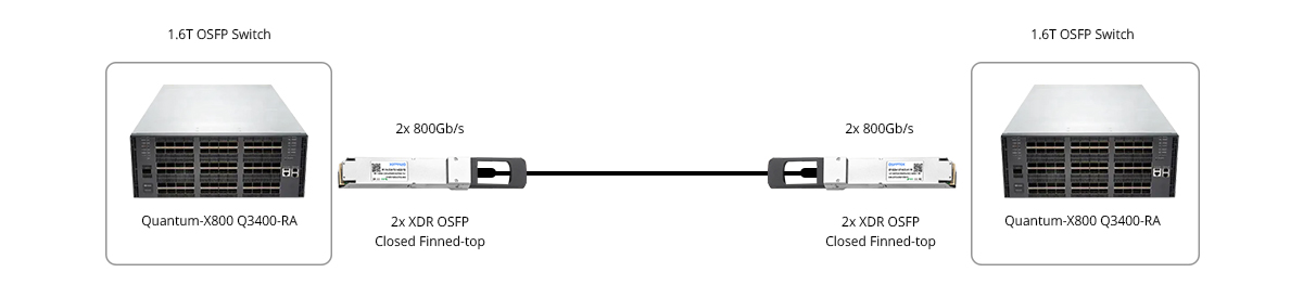 Scenario 1: 1.6T XDR Switch to 1.6T XDR Switch Direct Connectivity