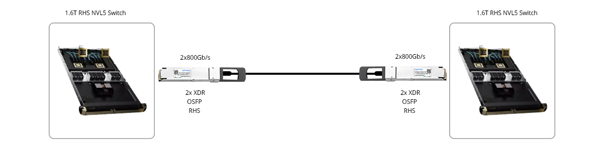 1.6T RHS NVL5 Switch to 1.6T RHS NVL5 Switch Direct Connectivity